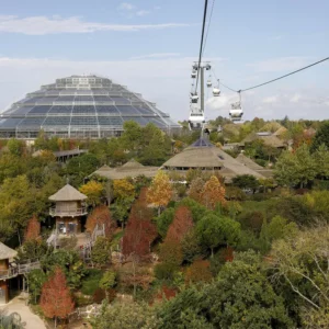 ZooParc de Beauval
